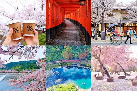 Kyoto-Nara Adventures Private Tour With Hotel Pick Up