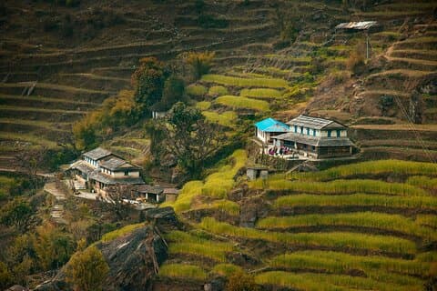 Ghorepani Poonhill Ghandruk Trek fra Pokhara: 4-dages eventyr
