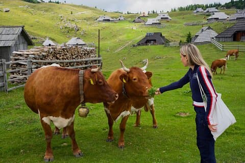 Velika Planina Visita com degustações de Ljubljana