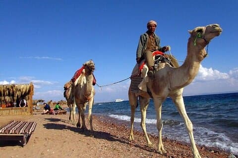 3 bassenger Dahab Canyon med lunsj og kameltur-Sharm El Sheikh