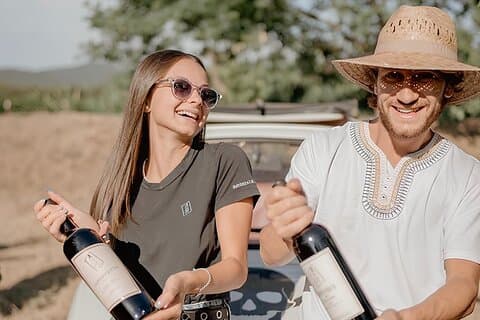 Wine Tasting and Estate Tour in Bolgheri