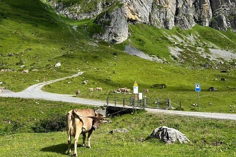 Excursion privée d'une journée en Suisse cachée avec Guide local