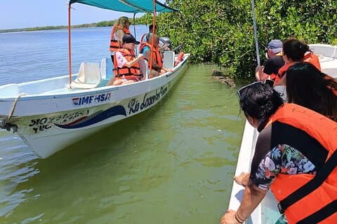Natuurtocht in Río Lagartos: Krokodillen en flamingo's