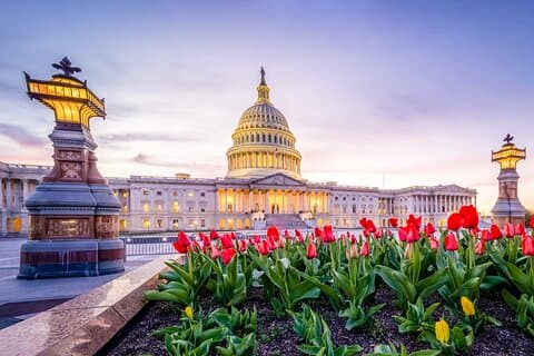 Excursion d'une demi-journée à Washington D.C.