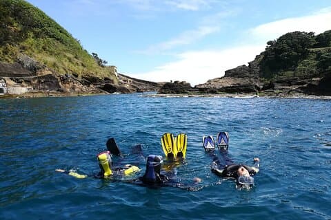 Passeios de snorkel