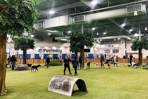 Petfinity Indoor Dog Park à Calgary
