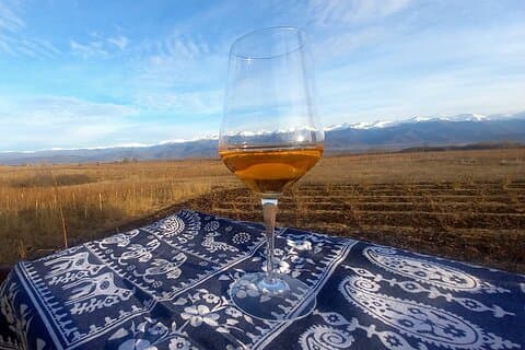 Traditional Qvevri Wine Tasting with Lunch in Kakheti