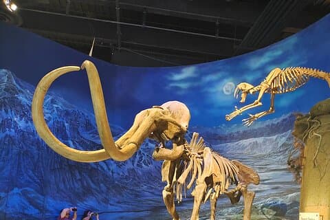 Badlands Tour : Drumheller con museo, Hoodoos e dinosauri