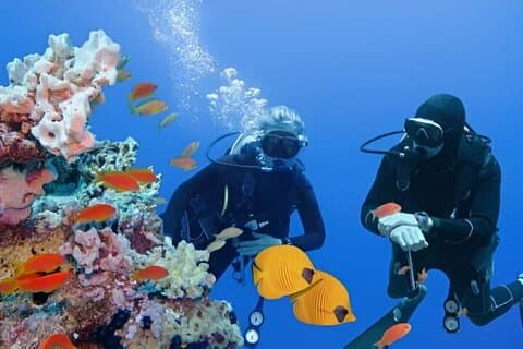 Professional 2 Stops Scuba Diving Full Day Boat Trip - Hurghada