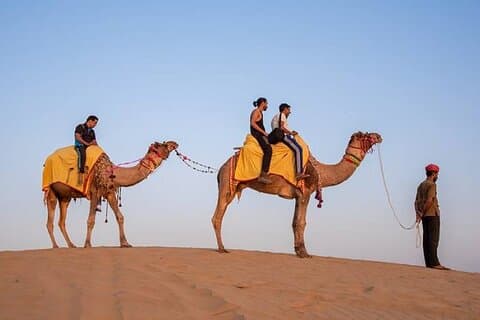 Jodhpur: Jeep Safari, Camel Ride, Buffet Dinner & Folkedans