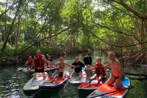 Mangrove Paddle Ride Sainte Anne Guadeloupe