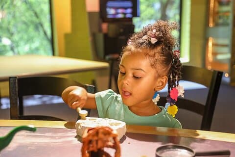 Kentucky Science Center Grundläggande behörighet