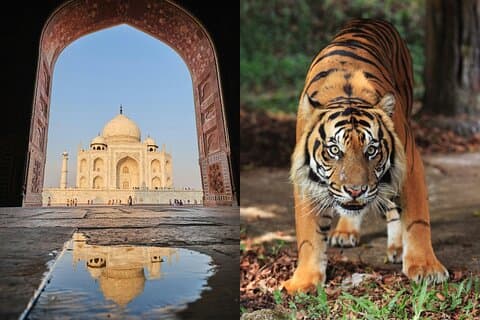 Circuit de 8 jours à Delhi Agra Ranthambore Udaipur Jaipur Delhi