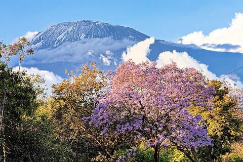 Moshi City Tour: Explore the Foothill of Kilimanjaro on Foot