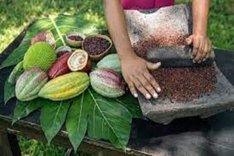 Bijagua Cacao, Kaffe & Ananas Farm Provsmakningsupplevelse