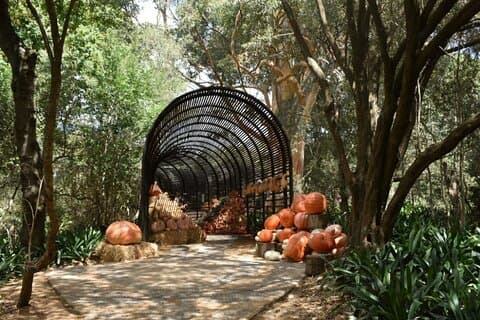 Full dag Stellenbosch Winelands Private Tour fra Cape Town