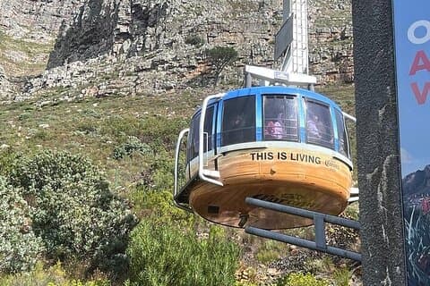 Cape Town Half-Day Table Mountain Tour