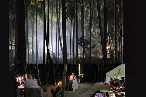 Steak or Lobster dinner in a magical jungle setting.
