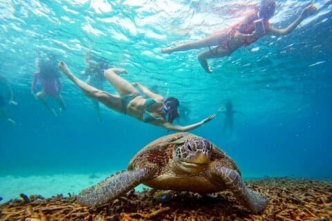Amazing 5 Point Snorkeling Tour in Koh Tao and Koh Nang Yuan
