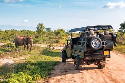 Aquila Game Reserve Safari Tagestour von Kapstadt