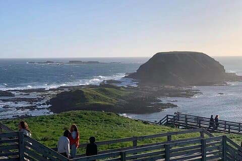 Privat Melbourne Tour: Phillip Island och chokladfabriken