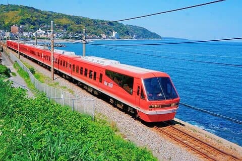 DeTokyo : Izu Scenic Oceanview Train, Volcan, Excursion d'une journée sur la côte