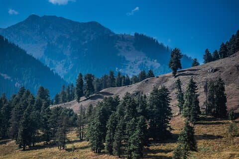 Kashmir och Taj Mahal