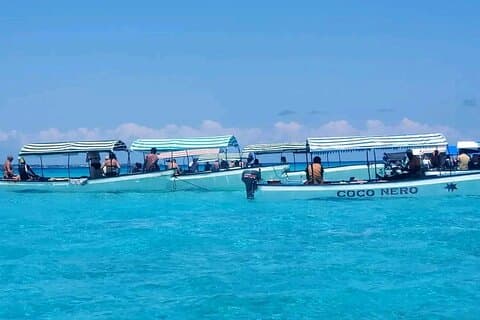Excursion privée sur l'île de Mnemba plongée avec tuba, baignade de dauphins, déjeuner