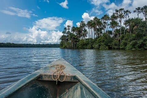 Tour de aventura por la selva de Tambopata 4 días
