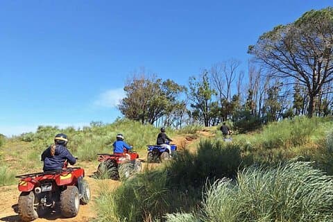 Hammamet Quad Tour in de bergen met olijfolie- en broodproeverij