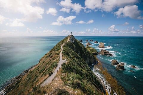 Invercargill to Dunedin via the Catlins Small Group 1 Way Tour
