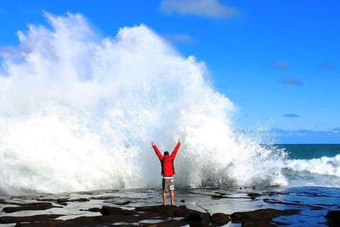 Dunedin nach Te Anau über die Catlins One Way Small Group Tour