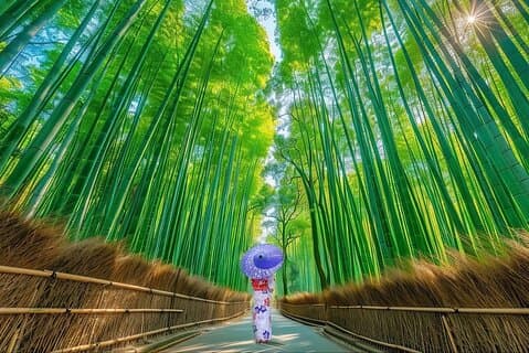Kyoto Private tilpasset dagstur med Guide