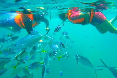 Kota Kinabalu snorkeltour bij Manukan en Sapi Island