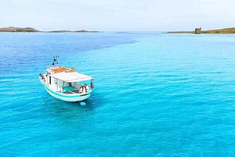 From Stintino Fishing Boat Tour in the Asinara Park