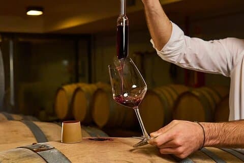 Dégustation de vin dans une authentique cave toscane à Radda in Chianti