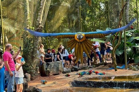 Private Tour Iguazu Falls Full Day Brasil med Bird Park