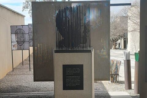 Soweto and Apartheid museum Tour