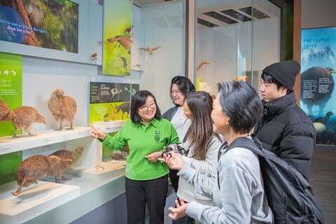 Museum of New Zealand Te Papa Tongarewa: Introducing Te Papa Tour