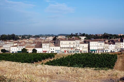 Excursão privada de meio dia de Bordeaux à Cidade de Blaye