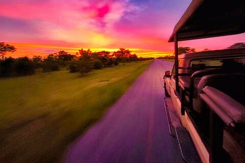 Chobe Sunrise Express Traquez les prédateurs à l'aube avant le déjeuner