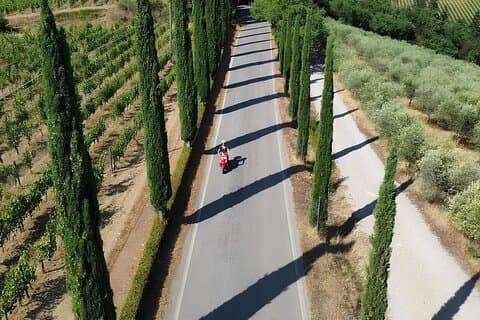 Heldagshyra av Vespa från Castellina in Chianti