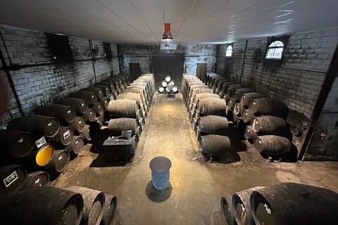 Besuch eines Weinguts in Chiclana de la Frontera: Weinprobe und Tapas