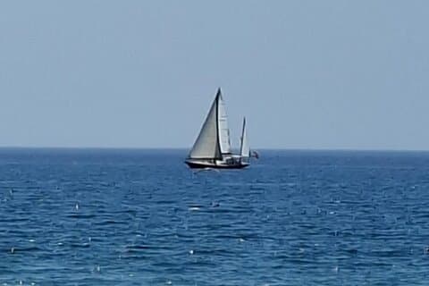 Segeln