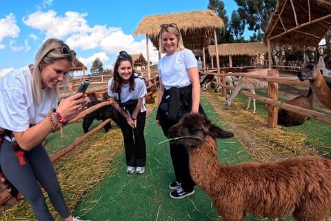Tour privato della Valle Sacra: Cusco, Maras, Moray e Ollantaytambo