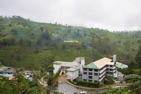 Excursion privée d'une journée à Nuwara Eliya Pickup de Kandy