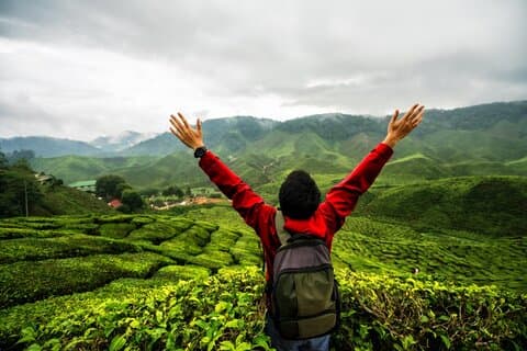 Privater Naturausflug in die Cameron Highlands ab Kuala Lumpur