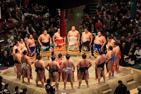 Grand Sumo Tournament Tour w/ English Guide ,Tokyo May 2026