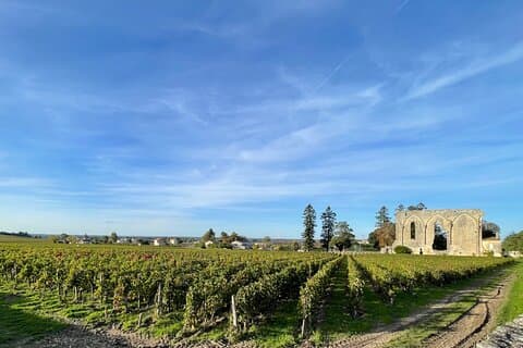 Vanuit Bordeaux halve dag naar Saint-Emilion in een privébusje