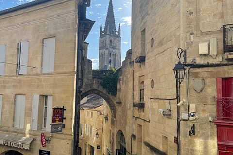 Vanuit Bordeaux, trip van een halve dag naar Saint-Émilion: Village + Château